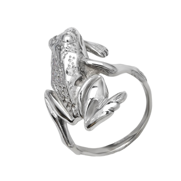 Кольцо из серебра Кольцо из серебра